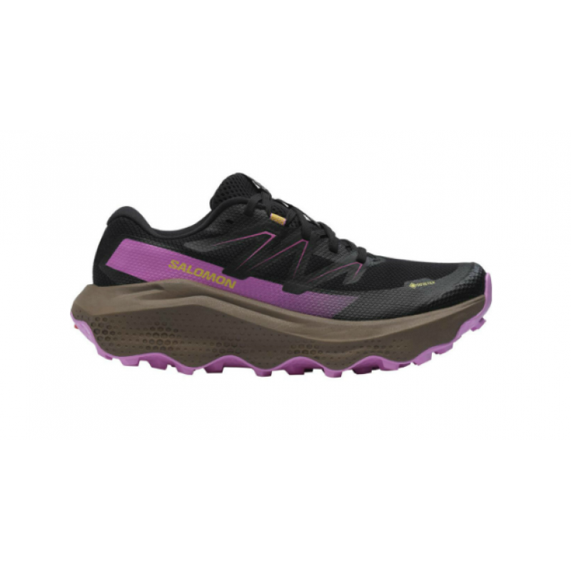 Salomon Salomon Ultra Flow 2 Gtx W